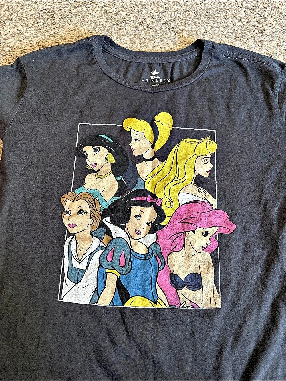 Disney Princess Group Shot Graphic T-Shirt Black & Multicolor